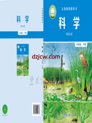 【教科版】六年级下册科学电子教材-电子教材网