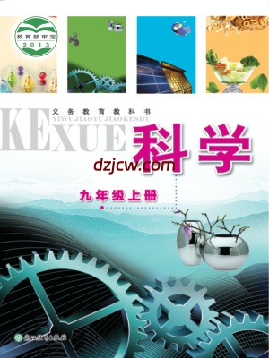 【浙教版】九年级上册科学电子教材-.pdf-电子教材网