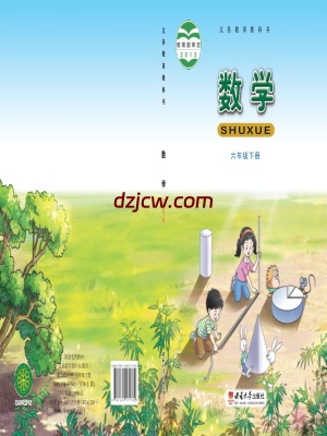【西南大学版】六年级下册数学电子教材.pdf-电子教材网