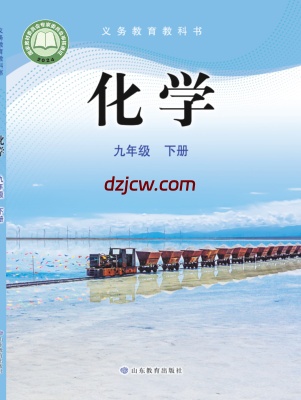【鲁教版】九年级下册(2025版)化学电子教材.pdf-电子教材网
