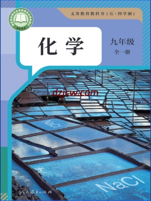 【人教版五四制】九年级全一册(2025秋版)化学电子教材.pdf-电子教材网