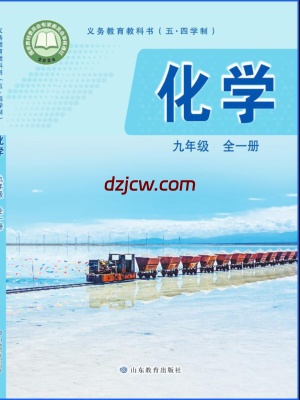 【鲁教版五四制】九年级全一册(2025秋版)化学电子教材-.pdf-电子教材网